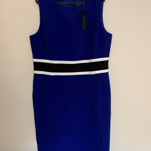 Black Label by Evan-Picone